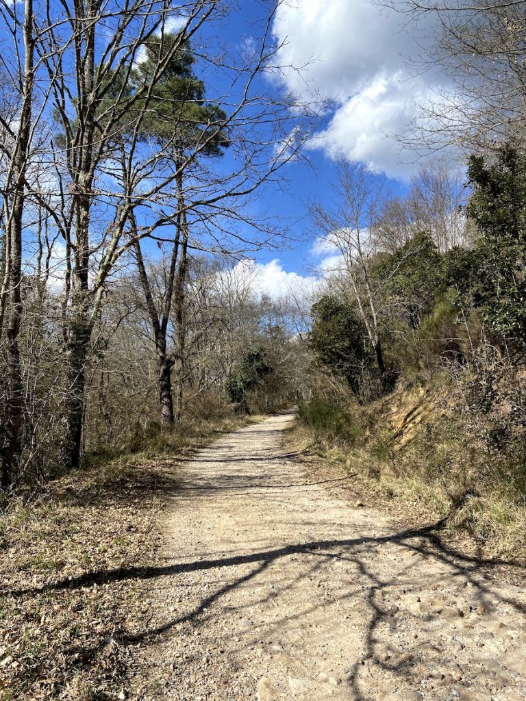 Strada forestale nel Parco dell'alto Merse