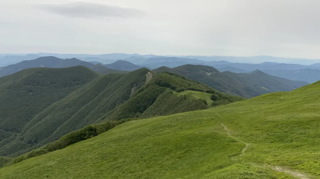Il sentiero di crinale (00) che attraverso il Monte Gennaio e il Passo del Cancellino porta al Corno alle Scale (BO)
