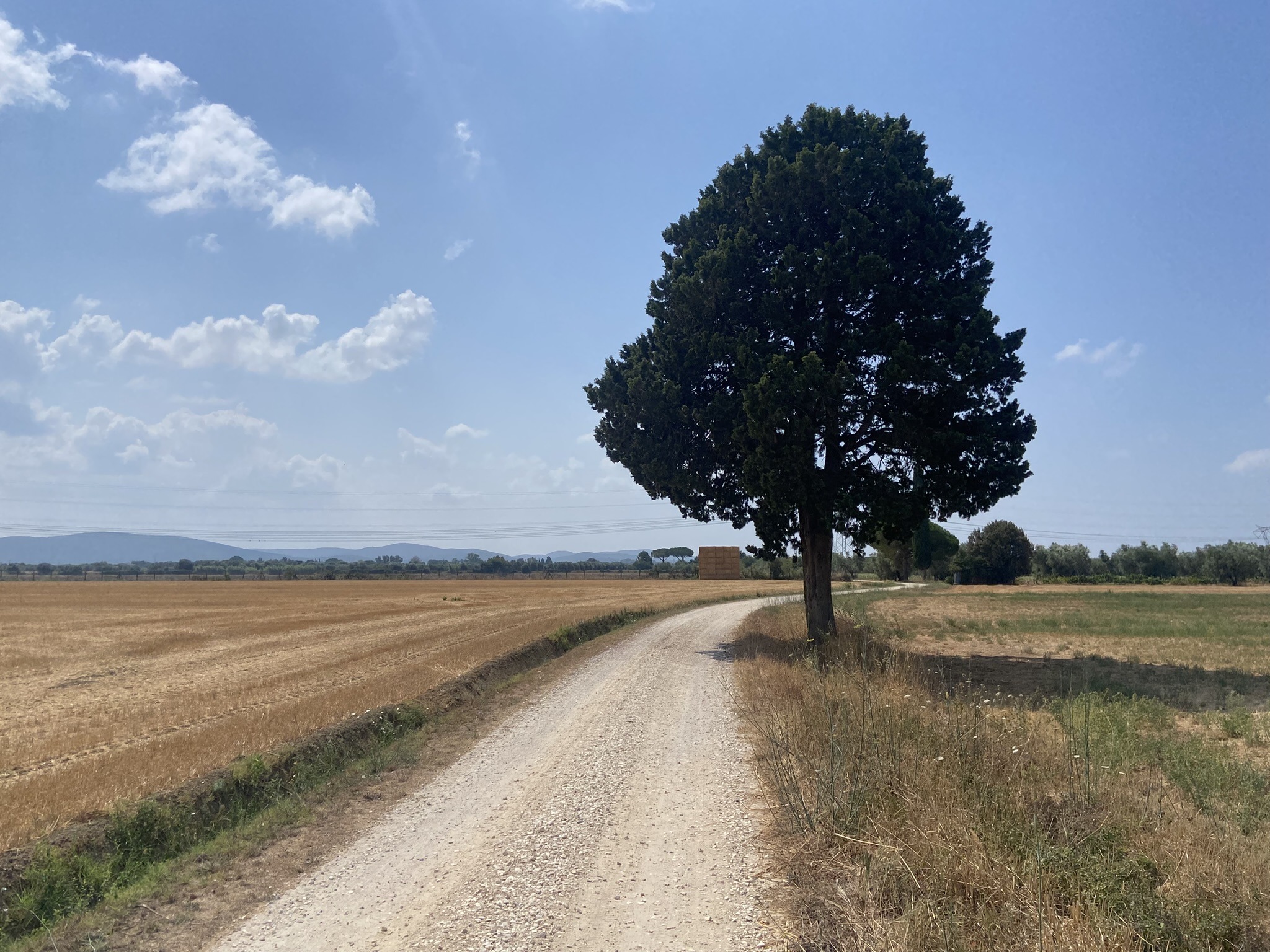 Suvereto e Sassetta